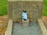 image of grave number 683931